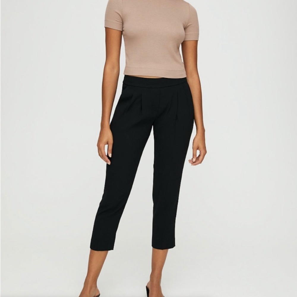 Aritzia Babaton Cohen Pant in Black